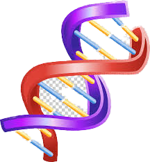 Amount of ДНК