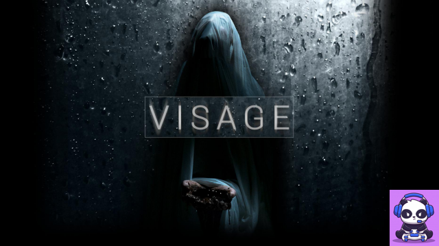 Visage (acceso anticipado) - Revisión