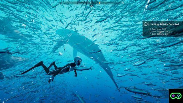 Beyond Blue - un saut dans l'abîme | Examen de l'ordinateur