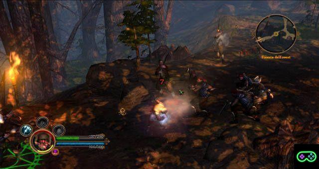 Dungeon Siege 3: Review